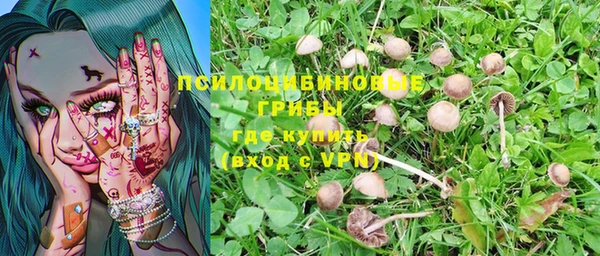 MESCALINE Ельня